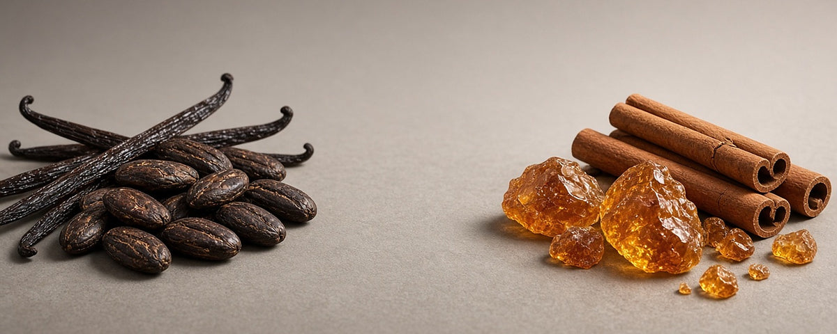 Duftnoten Unisex: Vanille, Tonkabohne, Zimt und Amber